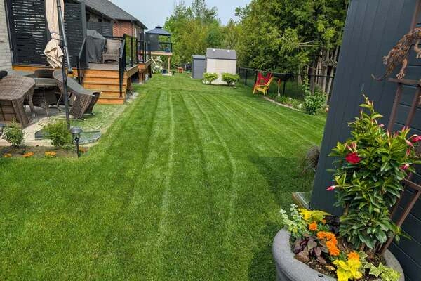 Lawn Care
